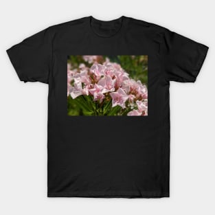 Pink Florida Flowers 2 T-Shirt